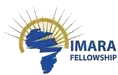 Imara Fellowship